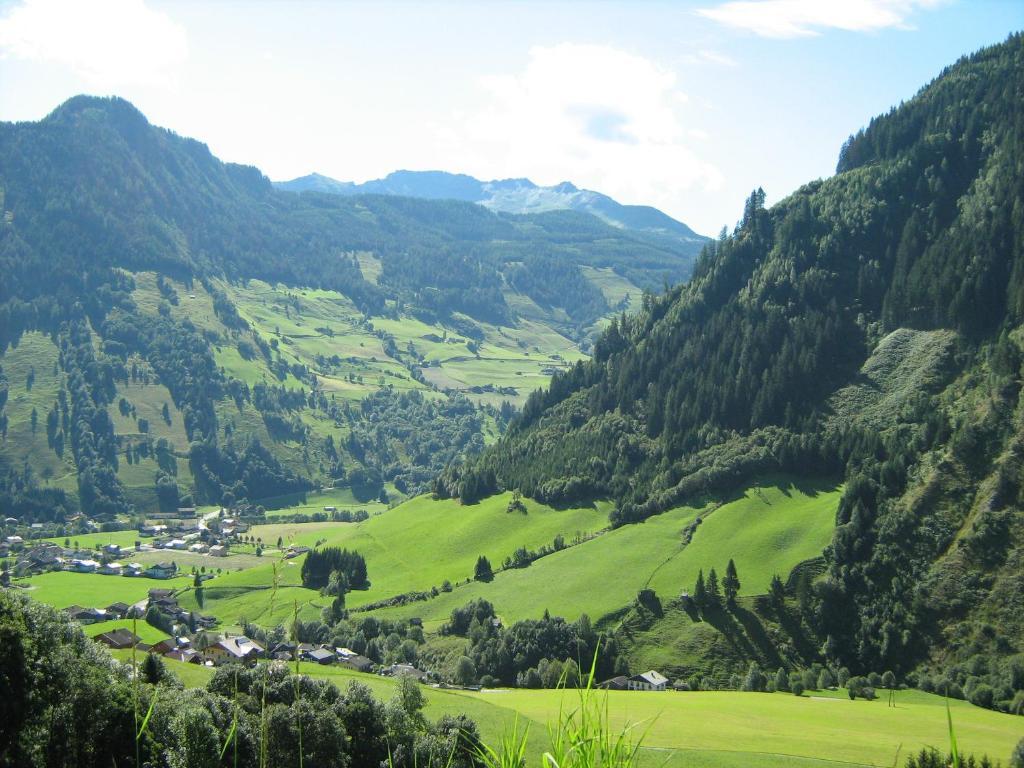 Andrelwirt